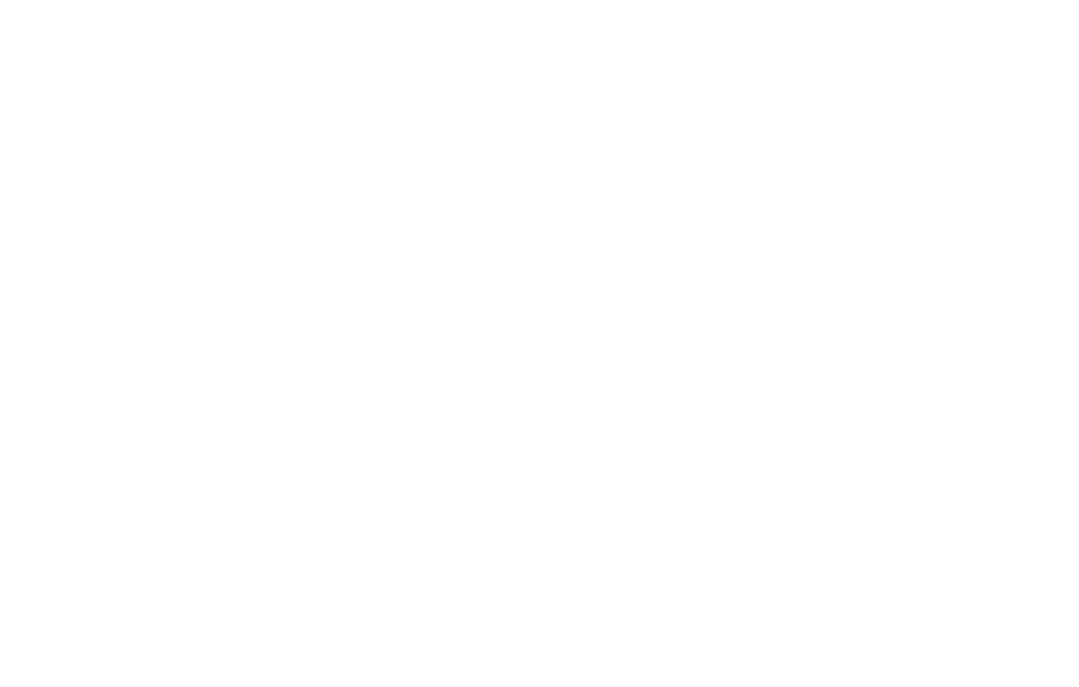 citysports-wordmark