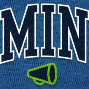 Group logo of CitySports Minnesota Pro Teams