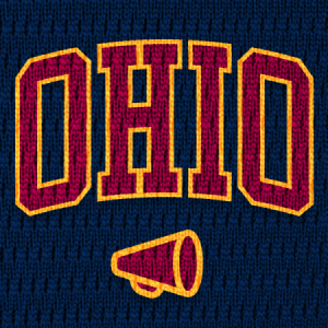 Group logo of CitySports Ohio