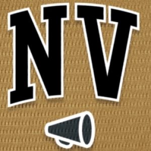 Group logo of Nevada Pro Sports Teams